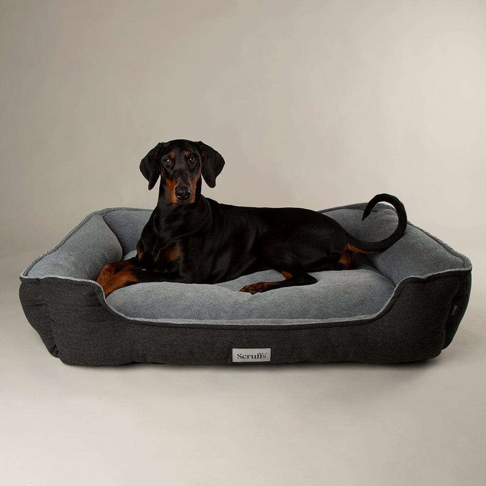 Harvard Memory Foam Orthopedisch Box Bed