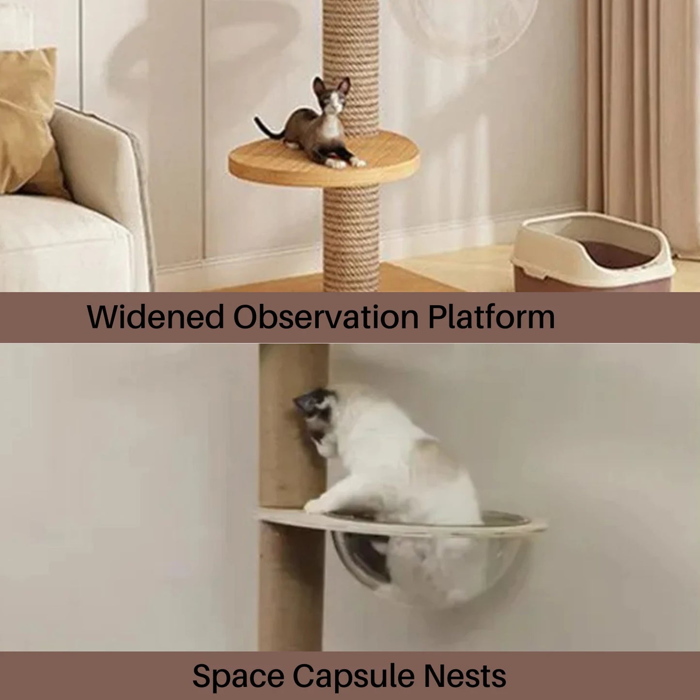 WHselect Wall Tower – Verstelbare Houten Kattenklimtoren met Krabplanken (240–270 cm)