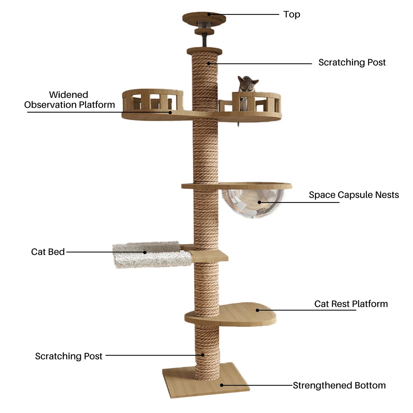 WHselect Wall Tower – Verstelbare Houten Kattenklimtoren met Krabplanken (240–270 cm)