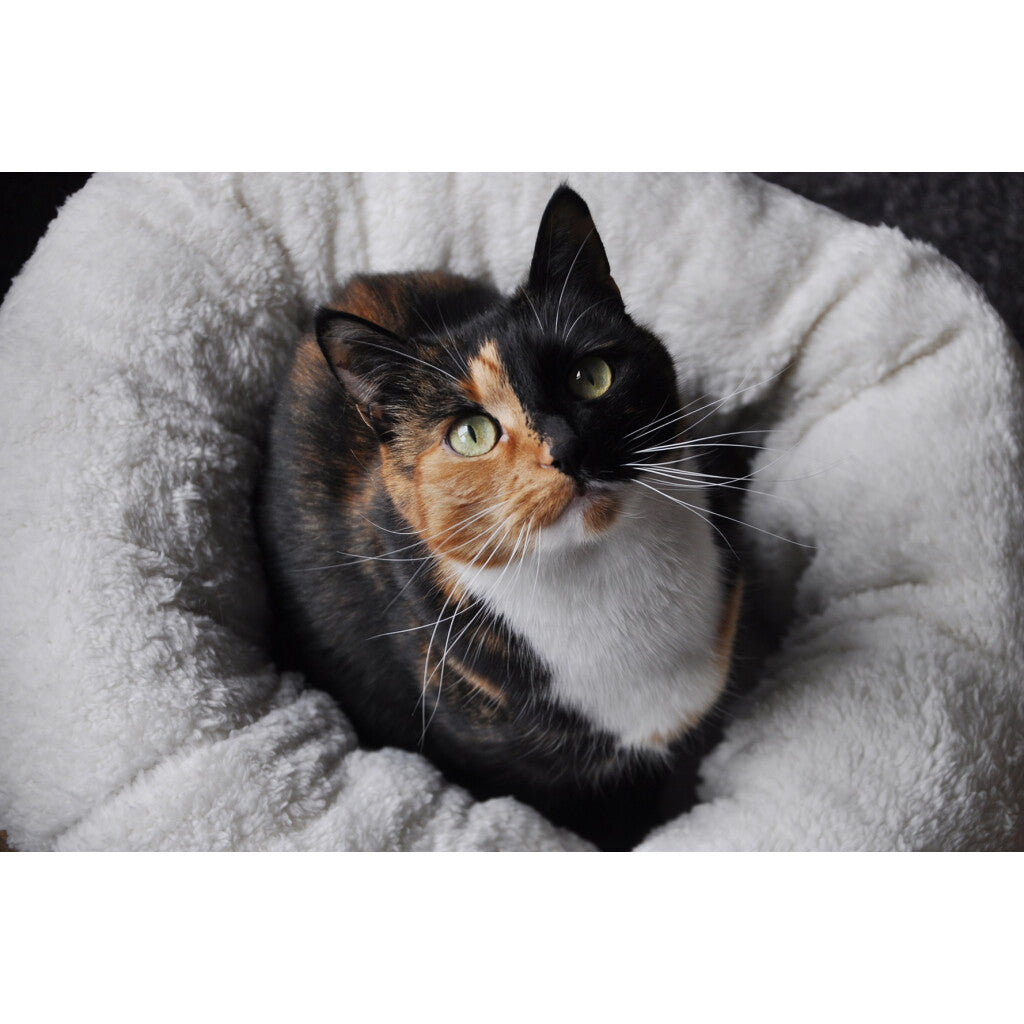AFP Lambswool - Donut Bed
