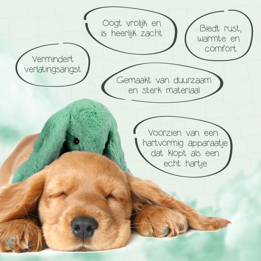 Cozy Dog Bunny Groen