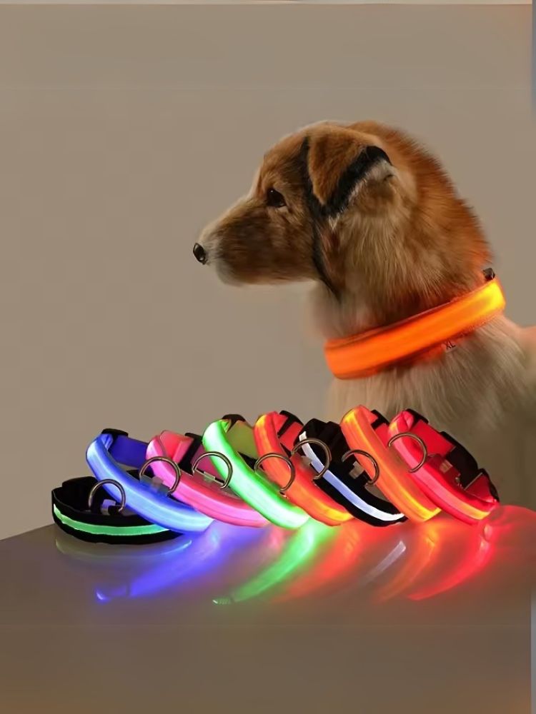 led collar