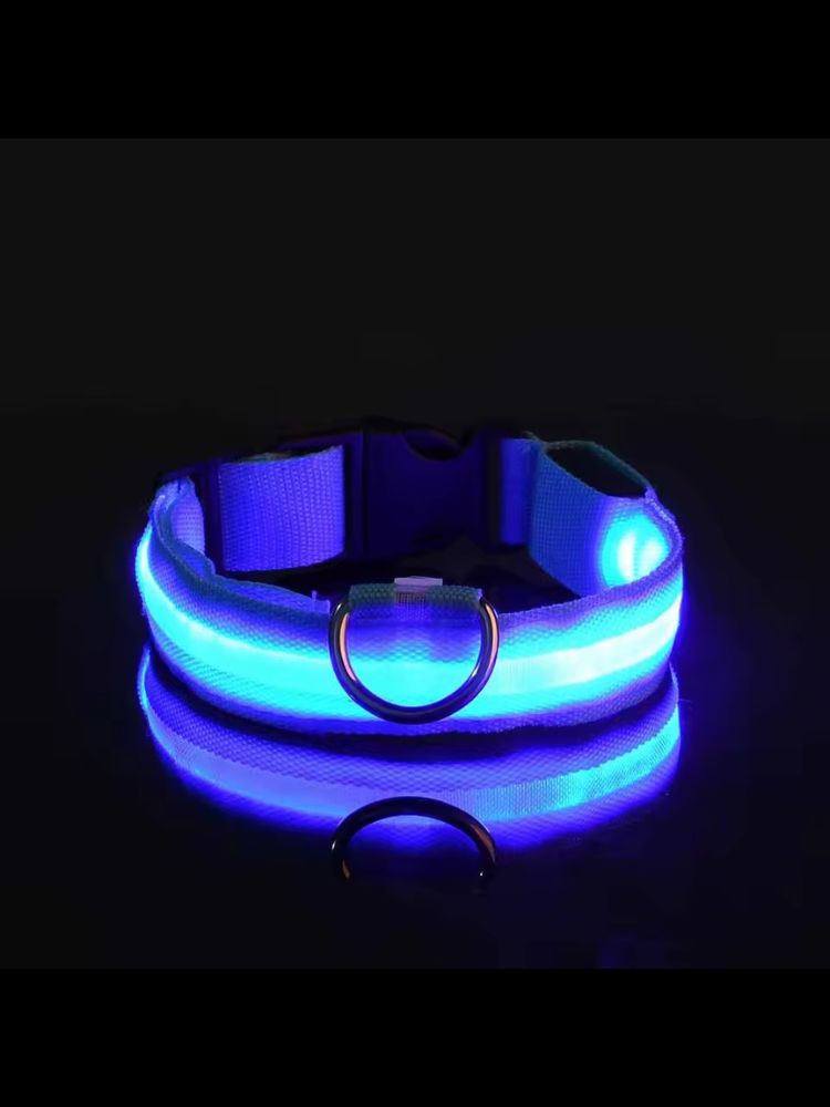 led collar