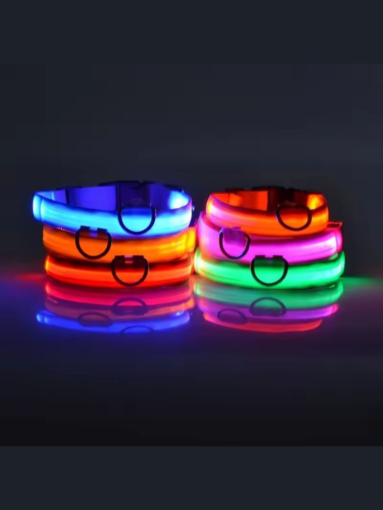 led collar