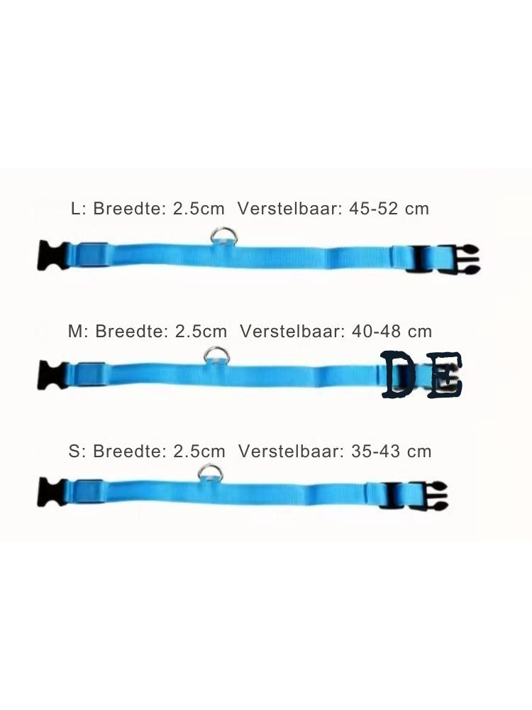 led collar