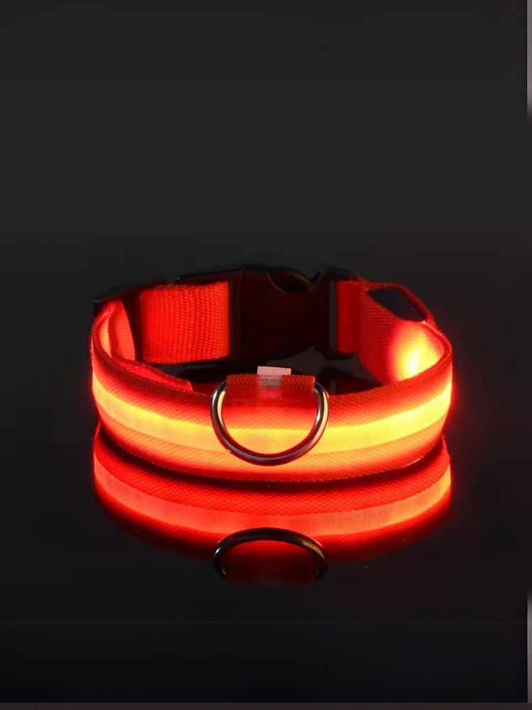 led collar