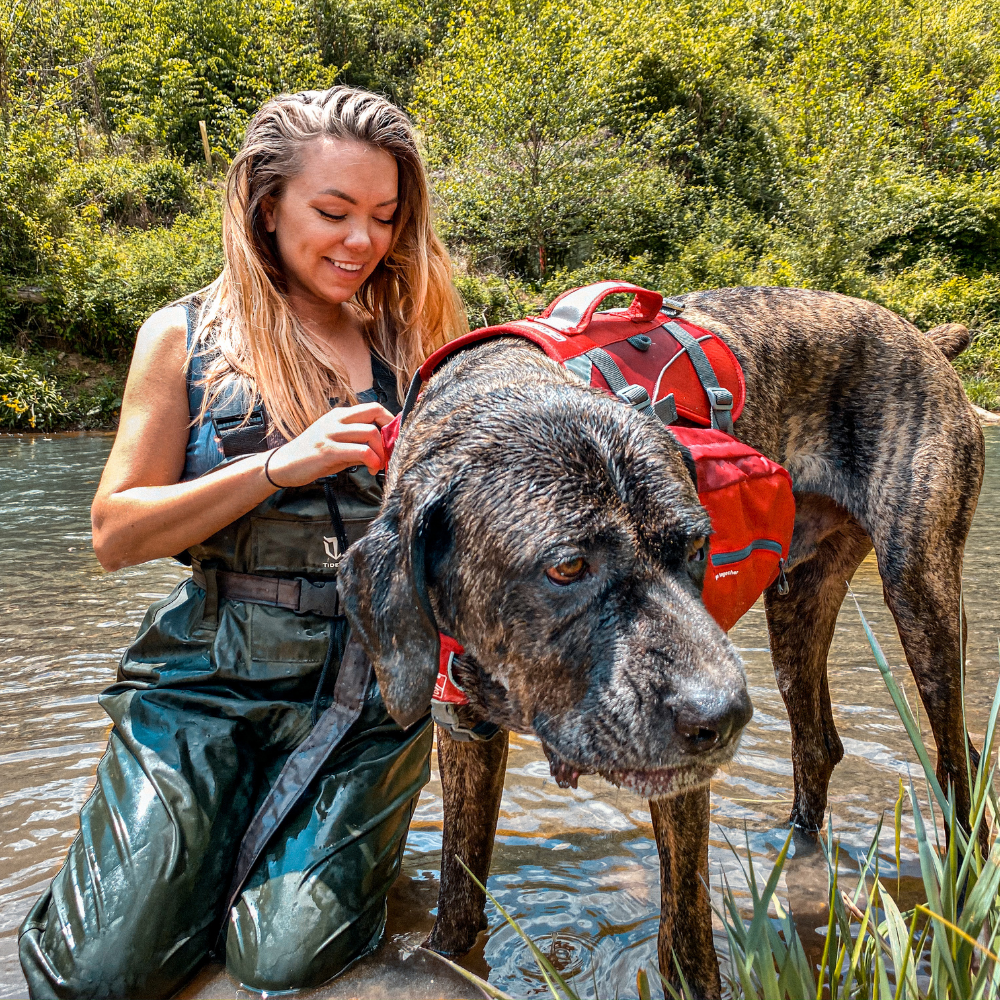 Kurgo - Baxter Backpack