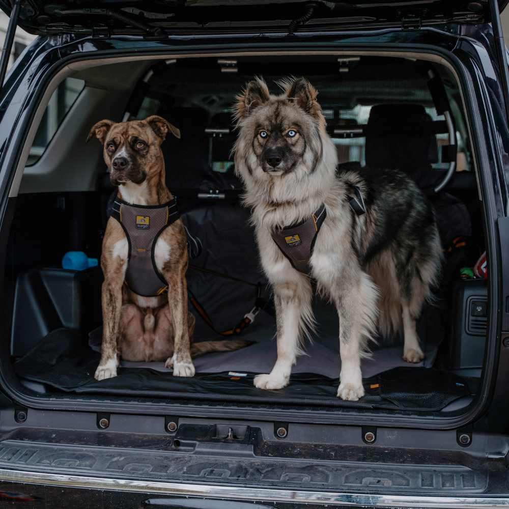 Kurgo - Impact Dog Car Harness