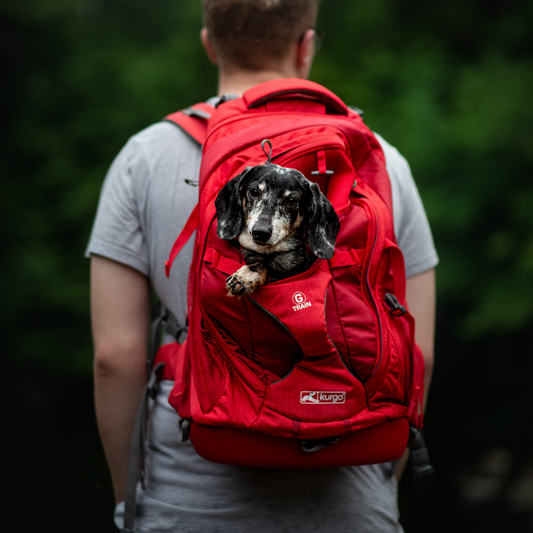 Kurgo - G-Train K9 Pack