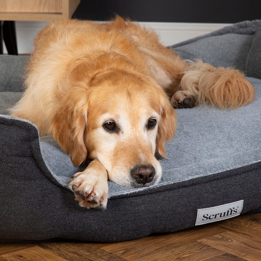 Harvard Memory Foam Orthopedisch Box Bed