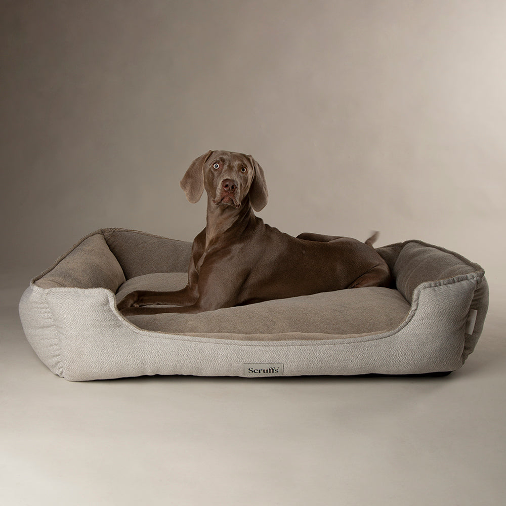 Harvard Memory Foam Orthopedisch Box Bed