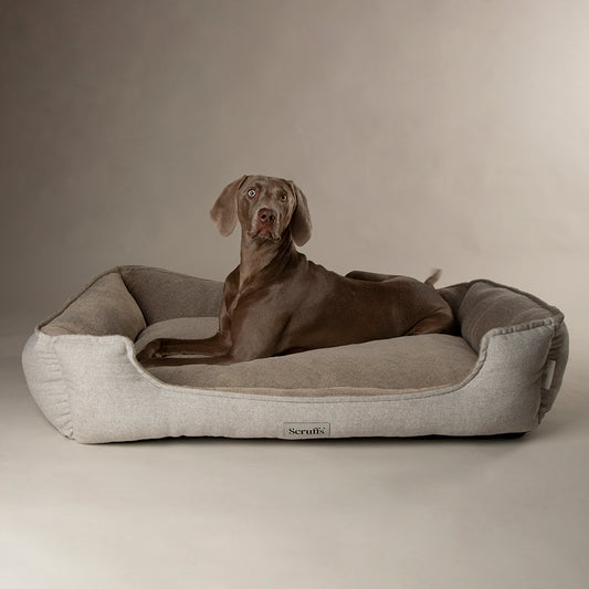 Harvard Memory Foam Orthopedisch Box Bed