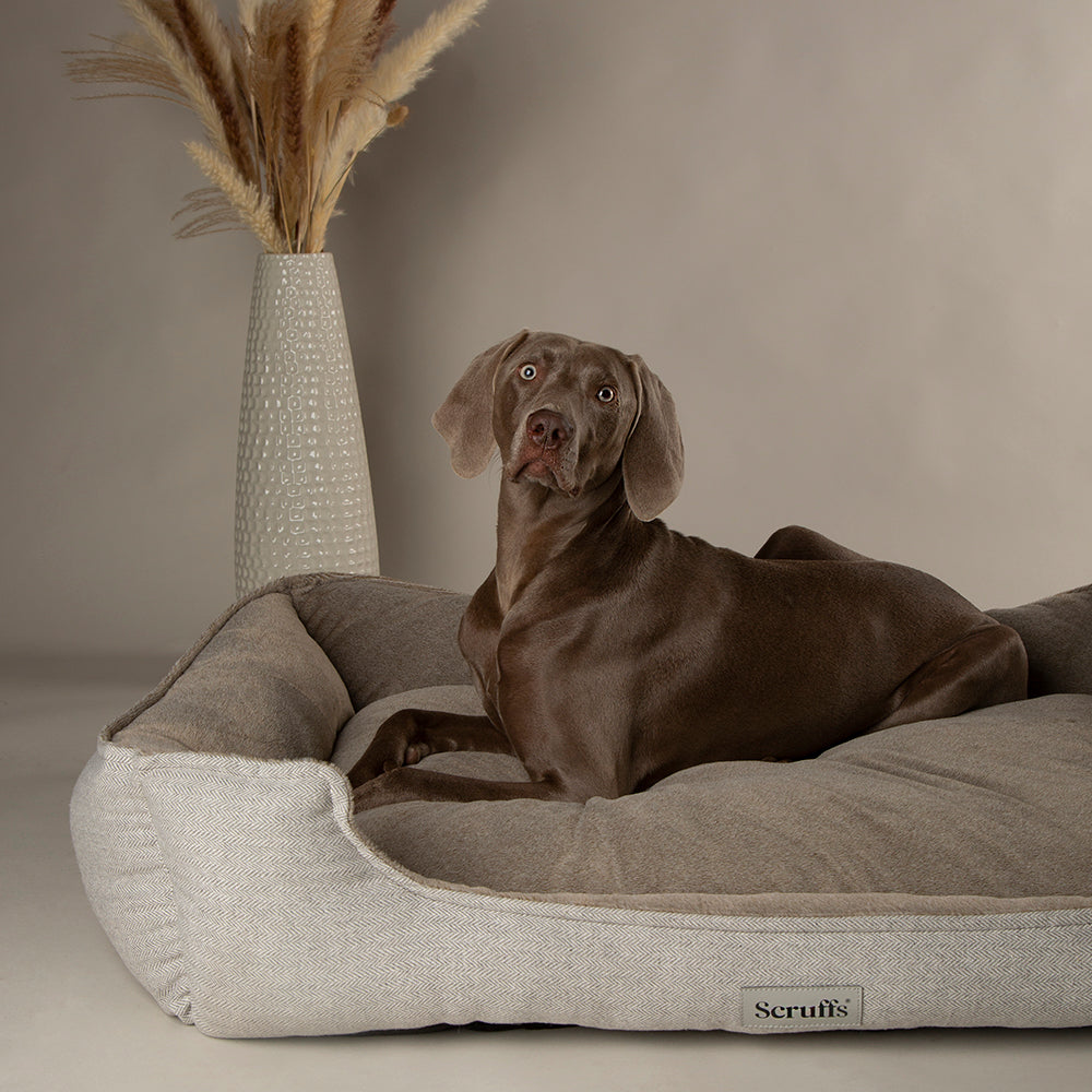 Harvard Memory Foam Orthopedisch Box Bed