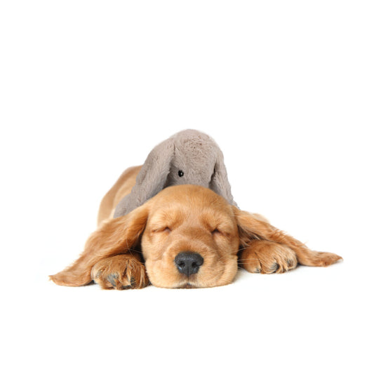 Cozy Dog Bunny Bruin