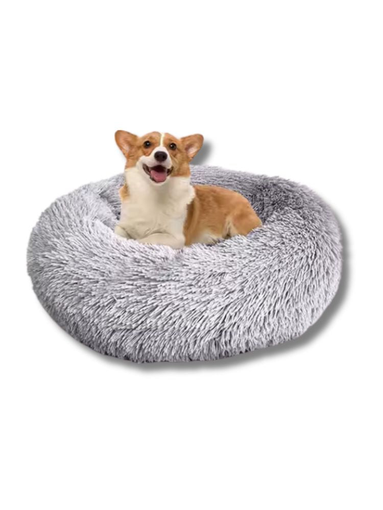 Donut Hondenmand