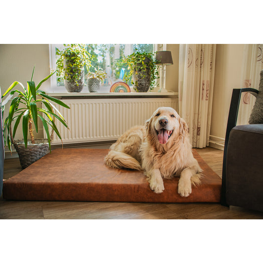 Let's Sleep Mellow Mattress Orthopedisch Kussen