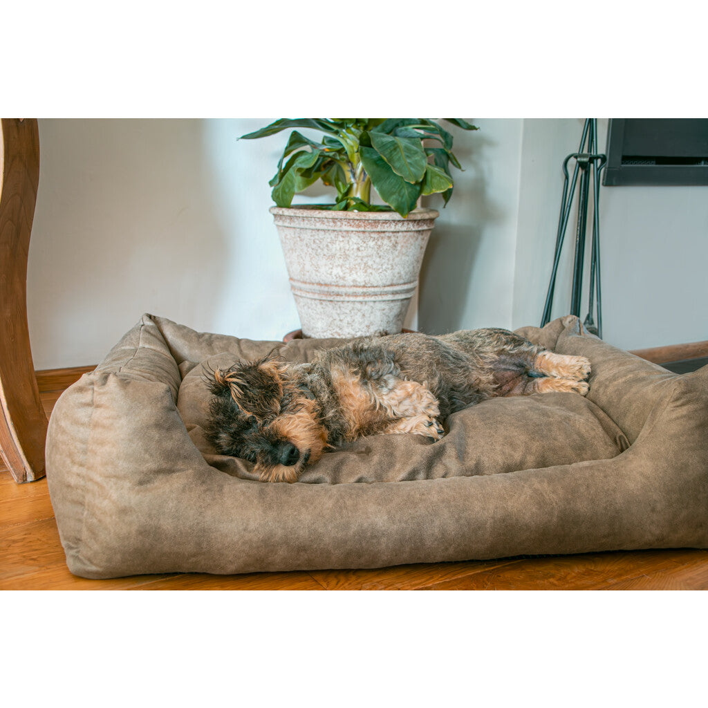 Let's Sleep Sweet Dreams Hondenmand Met Kussen