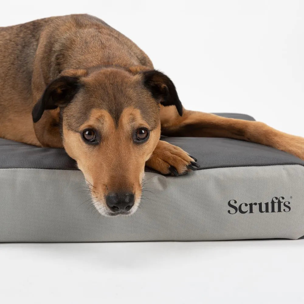 ArmourDillo Orthopedisch Hondenbed
