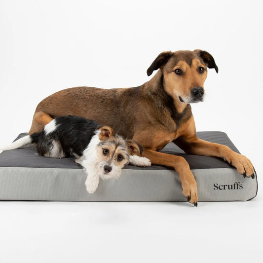 ArmourDillo Orthopedisch Hondenbed