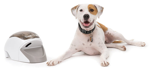 PetSafe® Treat & Train Remote Reward Dog Trainer