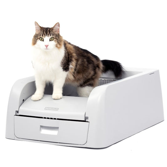PetSafe -  ScoopFree™ Clumping Self-Cleaning Litter Box