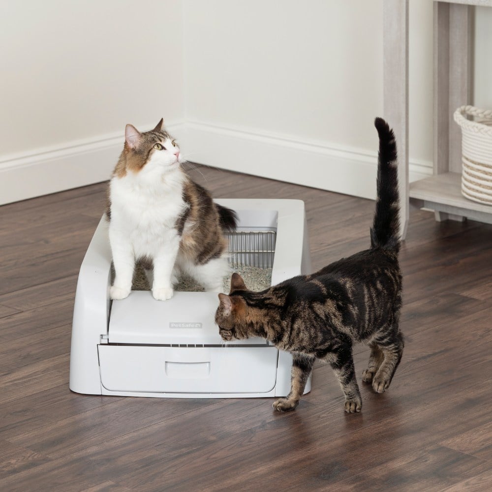 PetSafe -  ScoopFree™ Clumping Self-Cleaning Litter Box