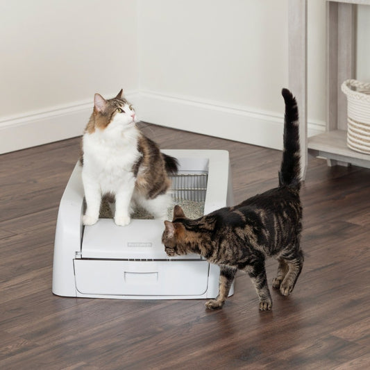 PetSafe -  ScoopFree™ Clumping Self-Cleaning Litter Box