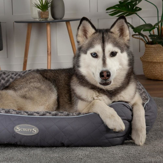 Scruffs Wilton Box Bed - Grijs 50cm x 60cm